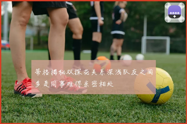 蒂格揭秘双探花关系深浅队友之间多是同事难得亲密相处